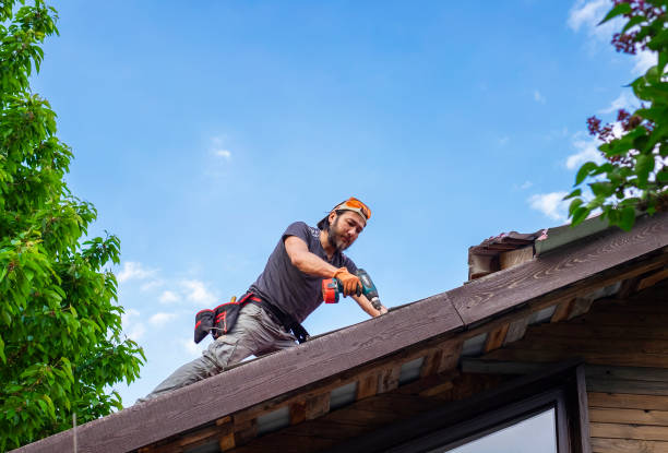 Best Metal Roofing Installation  in Hallandale Beach, FL