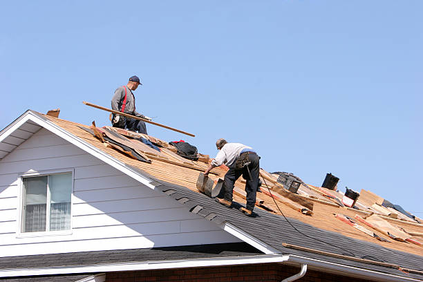 Fast & Reliable Emergency Roof Repairs in Hallandale Beach, FL