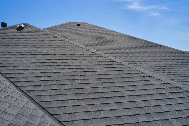 Best Roof Insulation Installation  in Hallandale Beach, FL